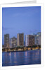 Twilight Waikiki by Anonymous