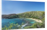 Hanauma Bay by Anonymous