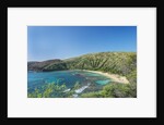 Hanauma Bay by Anonymous