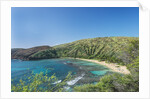 Hanauma Bay by Anonymous