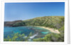 Hanauma Bay by Anonymous