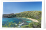 Hanauma Bay by Anonymous