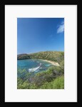Hanauma Bay by Anonymous