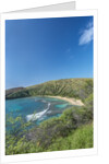 Hanauma Bay by Anonymous