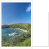 Hanauma Bay by Anonymous