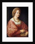 Portrait of a Woman with a Basket of Spindles by Pontormo