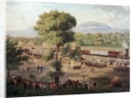 View of the Railway of Mexico Valley by Luis Coto