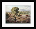 View of the Railway of Mexico Valley by Luis Coto