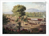 View of the Railway of Mexico Valley by Luis Coto