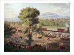 View of the Railway of Mexico Valley by Luis Coto