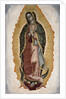 Our Lady of Guadalupe by Anonymous