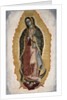 Our Lady of Guadalupe by Anonymous