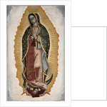 Our Lady of Guadalupe by Anonymous