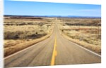 Long desert road stretching into the distance. by Anonymous