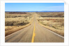 Long desert road stretching into the distance. by Anonymous