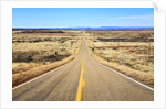 Long desert road stretching into the distance. by Anonymous