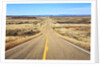 Long desert road stretching into the distance. by Anonymous