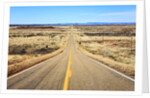 Long desert road stretching into the distance. by Anonymous