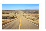 Long desert road stretching into the distance. by Anonymous