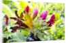 Hawaiian Tropical flower arrangement by Anonymous