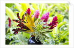 Hawaiian Tropical flower arrangement by Anonymous