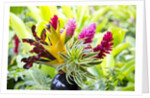 Hawaiian Tropical flower arrangement by Anonymous