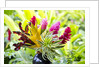 Hawaiian Tropical flower arrangement by Anonymous