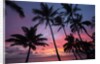 Palm trees at sunset on Keawekapu beach, Wailea, Maui, Hawaii by Anonymous