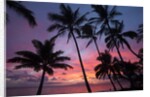Palm trees at sunset on Keawekapu beach, Wailea, Maui, Hawaii by Anonymous