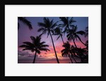 Palm trees at sunset on Keawekapu beach, Wailea, Maui, Hawaii by Anonymous