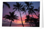 Palm trees at sunset on Keawekapu beach, Wailea, Maui, Hawaii by Anonymous