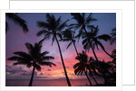 Palm trees at sunset on Keawekapu beach, Wailea, Maui, Hawaii by Anonymous