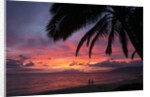 Palm trees at sunset on Keawekapu beach, Wailea, Maui, Hawaii by Anonymous