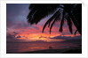 Palm trees at sunset on Keawekapu beach, Wailea, Maui, Hawaii by Anonymous