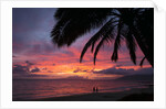 Palm trees at sunset on Keawekapu beach, Wailea, Maui, Hawaii by Anonymous