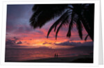 Palm trees at sunset on Keawekapu beach, Wailea, Maui, Hawaii by Anonymous