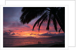 Palm trees at sunset on Keawekapu beach, Wailea, Maui, Hawaii by Anonymous