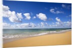 Baldwin Beach, Maui, Hawaii by Anonymous