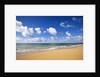 Baldwin Beach, Maui, Hawaii by Anonymous
