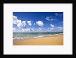 Baldwin Beach, Maui, Hawaii by Anonymous