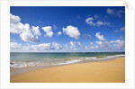 Baldwin Beach, Maui, Hawaii by Anonymous