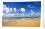 Baldwin Beach, Maui, Hawaii by Anonymous