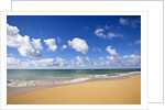 Baldwin Beach, Maui, Hawaii by Anonymous