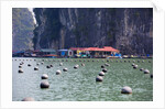 Vung Vieng Fishing Village in Bai Tu Long Bay, Halong Bay World Heritage Site, Vietnam by Anonymous