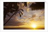 Sunset with palm trees in Kihei, Maui, Hawaii by Anonymous