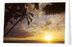 Sunset with palm trees in Kihei, Maui, Hawaii by Anonymous