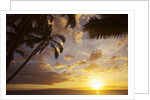 Sunset with palm trees in Kihei, Maui, Hawaii by Anonymous