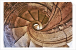 Spiral Stone Staircase in Convento de Cristo by Anonymous