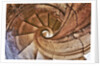 Spiral Stone Staircase in Convento de Cristo by Anonymous