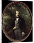 Portrait of Napoleon III by Franz Xaver Winterhalter